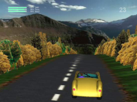 grafika przedstawiająca zrzut ekranu gry podczas treningu biofeedback (jadący po szosie samochód, w tle drzewa i góry)