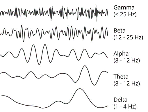 grafika ilustrująca zakresy częstotliwości fal mózgowych